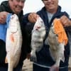 Reds and drum for the Fernandez familia of Richmond TX