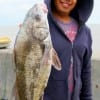 Carmelo Grimaldo of Waller TX took this nice drum on shrimp-
