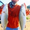 Conroe angler Alton Thorpe used finger mullet to haul these big trout out of the pass