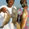 The Browns of Houston took these nice drum and reds on shrimp.