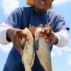 Darrell Bean of Houston boxed up several bull whiting caught on shrimp.