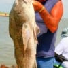 Frank Bunyard of Tarkington Prairrey TX hefts a 40plus inch drum caught on shad.