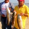 Idsaigs Hernandez and Roberto Benetiz of Baytown nabbed thses nice reds on shrimp-