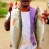 Thomas Herman of Baytown took these nice specks on finger mullet.JPG