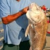 Joe E. Sanchez of Gilchrist,TX landed and released this behemoth drum.