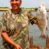 Tammy Bradley of Crosby took this nice drum on Miss Nancys shrimp.