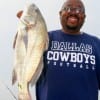 Wiilie Love of Crockett, TX nabbed this nice drum on shrimp.
