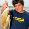 Youg Hunter Tillery of Mauriceville,TX took these nice golden croaker on shrimp.