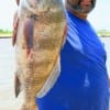 Mike Perry of Houston took this 20