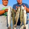IMG_6406Brian Matzig and Brent Mosley of Willis TX took these specks in the surf using soft plastics-