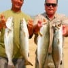 Kelly Hamblin and Charley Zucha took these fine trout on super spooks while wade-fishing the surf.