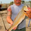 Eli Peralta of Humble,  TX caught this nice red on finger mullet.