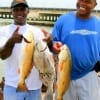 Exited about their catch Eddy Womack and Pat Coleman of Greenwood MISS show off their reds and drum.
