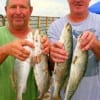 Ray Horton and Ted Batey of Spring, TX nabbed these nice specks on Lil' Fishies.