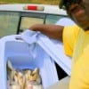 Herbert Johnson of Houston boxed up golden croaker, drum, and whiting for his supper table.