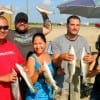 The Clute Clan of Houston took these nice specks night fishing with live shrimp.