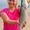 Haley Hennis of Cleburn, TX took this nice speck on live croaker.
