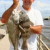 Randy Lutke of Conroe, landed these nice drum fishing live shrimp.