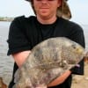 A nice sheepshead for Jason Kinemond of Houston.