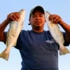 Robert Aquire of Houston nightfished these trout using finger mullet.