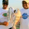 Mr and Mrs Allisen of Houston with their two drum caught on shrimp.