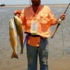 Greg Ellingsen of Huffman, TX tethered these two nice reds wading Rollover Bay.