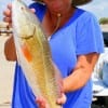 Rye angler Bobbie West took this 25inch red on finger mullet.