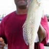 Kerry Scott of Kady TX put this nice trout in the box using a finger mullet.