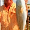 Pineland, TX angler Scott Hardy nabbed this nice red on finger mullet.