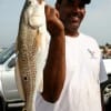 Melvin Riles of Houston caught this nice red on shrimp.