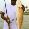 Wilber Howard of Houston took this chunky 28 inch red on finger mullet.