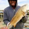 David Gordan of Katy, TX caught this 28inch red on shrimp.