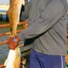 Double Trouble for Humble rez Brian Denton fishing finger mullet.