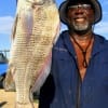 Ezra Brown of Missouri City, TX nabbed this keeper eater drum fishing shrimp.