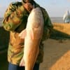 Happy angler Thomas Gaulden Jr wrangled this 41 inch tagger bull red fishing cut croaker.