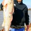 Live shrimp put this 37 inch tagger bull red on the menu for Justin Uhyrek of Pearland, TX