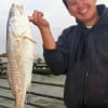 Khanh Lam of Houston took this 28 inch red on shrimp.