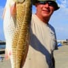 Santaqs Chimney Sweep, Kilroy Garza of Bay Area Chimney, hefts his 25 inch slotred caught on live shrimp.