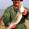 Louis Cook of Crystal  Beach, TX caught this supper bound spekled trout on a Lil'Fishy.