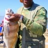 Ira Pearson of Dallas  took this nice drum on shrimp.