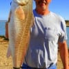 Tim Galyon of Garland,  TX took this 29 inch tagger red on live shrimp.