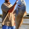 Art Garza of Houston  landed ths 37inch drum on shrimp, then released it.