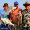 The Hardin Buch  ofHardin, TX wrastled up these nice drum fishing shrimp.