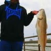 Jonathon Cervantes of  Donna TX took this 32 inch tagger red on shrimp.