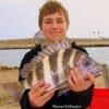 Joseph Lakes of  Tyler,TX took this nice sheepshead fishing shrimp.