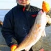 Victor Miller of  Channelview, TX took this 34 inch tagger bull red while nightfishing with  shrimp.