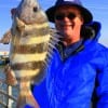 Houston angler Mathew Hennigan nailed this large sheepshead on shrimp.