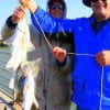 Uncle and Nephew-,Mathew Hennigan with Zachery tethered up these nice drum and whiting on shrimp.