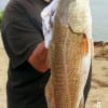 Poochie Walker of League City, TX took this nice 27inch red on a finger mullet.