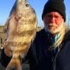 Riggs of Troop, TX landed this nice sheepshead on a miss nancy shrimp.